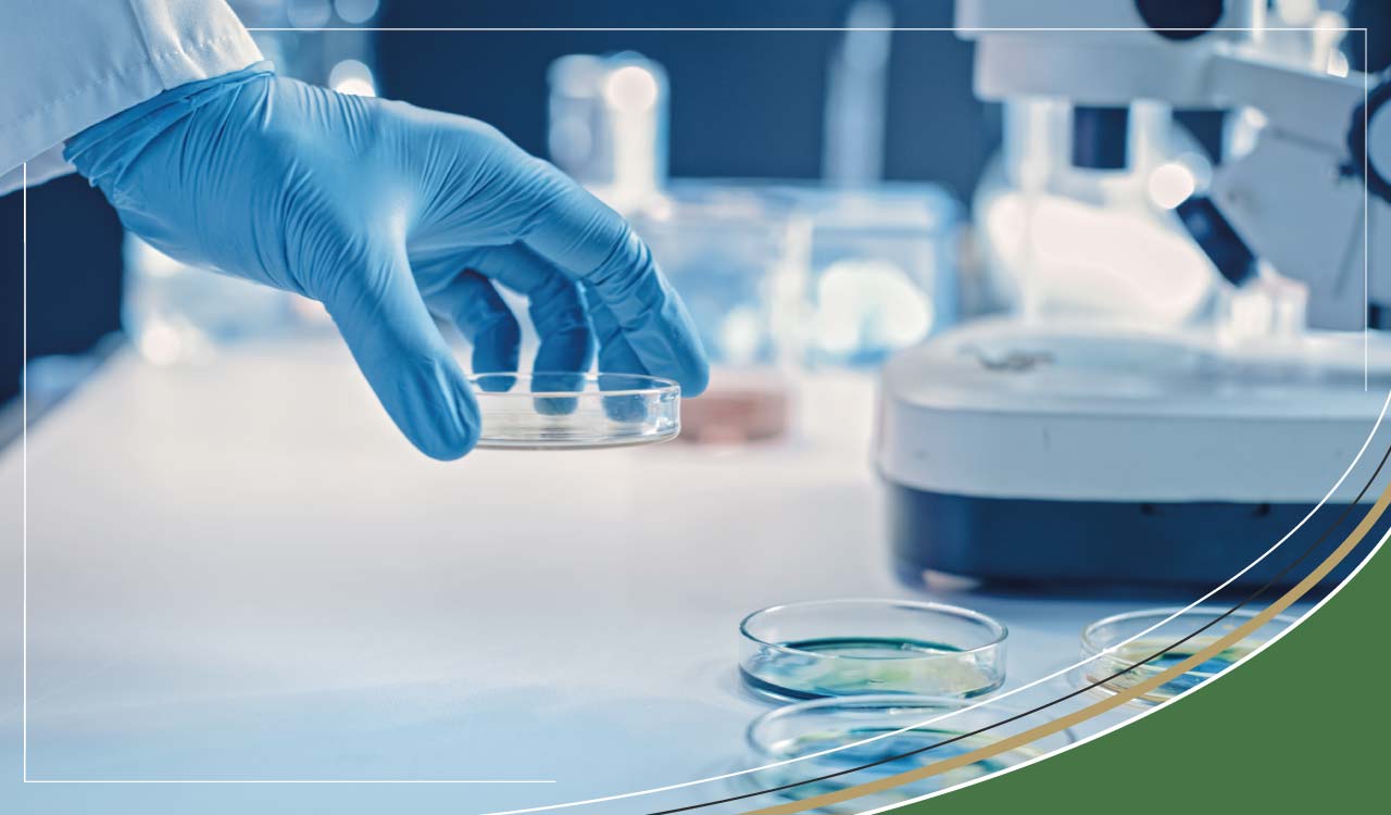 Bacteria strains which can cause a UTI